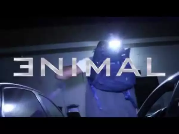 Video: Enimal - Something Real